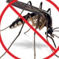 Diệt Muỗi
