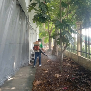 du-an-phun-thuoc-diet-muoi-va-con-trung-tai-khuon-vien-nha-xuong1