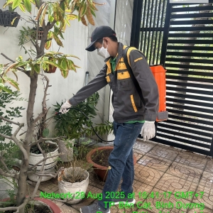 dich-vu-diet-moi-hanh-nha-tai-xa-nha-be-tphcm