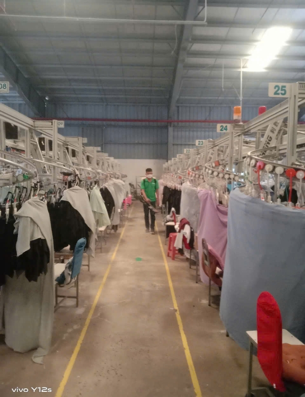 Dự án kiểm soát côn trùng trong nhà máy may mặc
