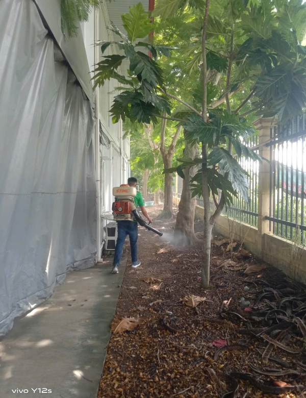 Dự án phun thuốc diệt muỗi và côn trùng tại khuôn viên nhà xưởng1