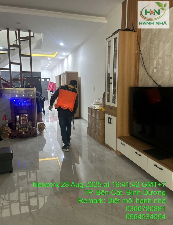 Phòng ngừa mối tại nhà dân ở Bình Dương