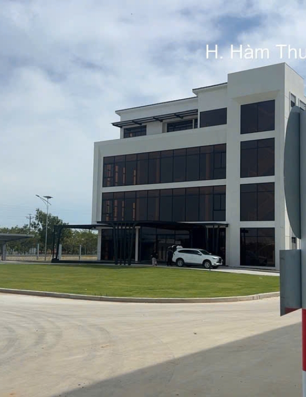 Dịch Vụ Diệt Mối Hạnh Nhã Tại TP.HCM