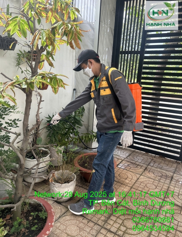 Dịch Vụ Diệt Mối Hạnh Nhã Tại Xã Nhà Bè, TP.HCM