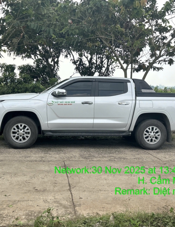 Dịch Vụ Phản Gỗ Nhà – Xử Lý Mối Mọt Chuyên Nghiệp Tại TP.HCM